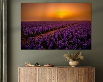 Violetter Sonnenaufgang von peterheinspictures