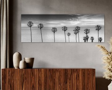 CALIFORNIA Palm-idylle aan zee | Panoramamamonochroom van Melanie Viola