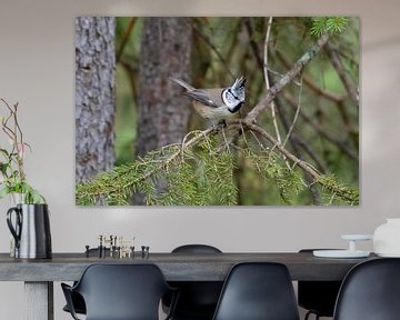 Crested tit by Merijn Loch