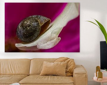 Snail on a lily. by Erik de Rijk
