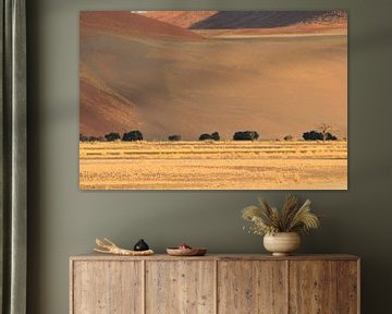 Woestijn landschap met duinen in Namibië. Zen, rust van Bobsphotography