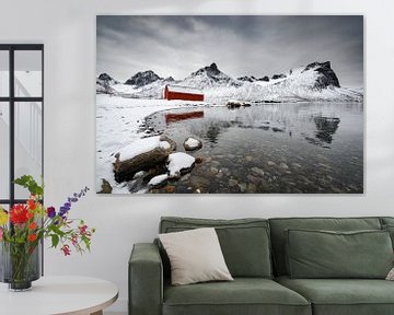 Senja eiland in Noord-Noorwegen tijdens een koude winterdag van Sjoerd van der Wal