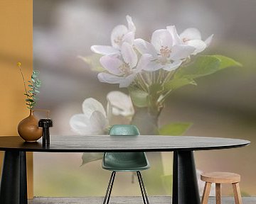 Voorjaarsboeket met appel bloesem