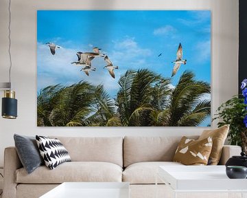Flying seagulls above palm trees on a blue sky in Isla Holbox, Mexico