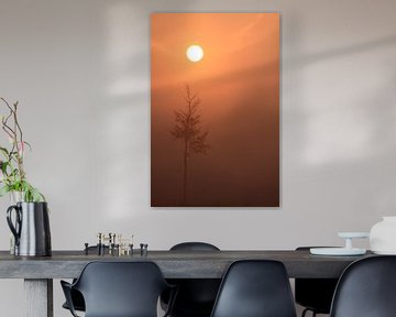 Nebliger Sonnenaufgang mit Baum von Bobsphotography