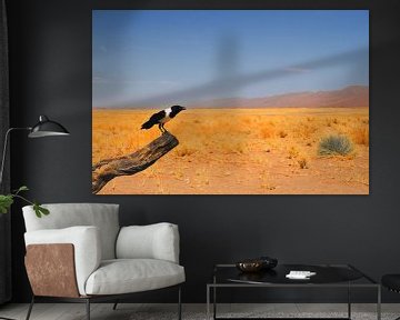 Schwarze und weiße Krähe in der Wüste von Bobsphotography