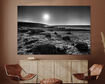 waddenkust Wierum Friesland van Waterpieper Fotografie