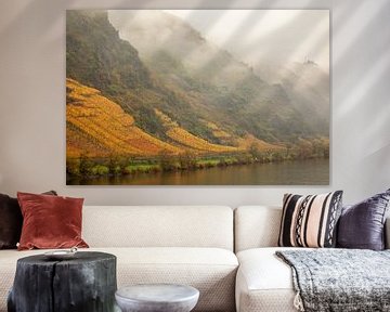 Wine fields on the banks of the Moselle in Cochem by gea strucks