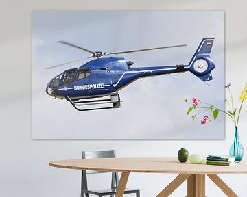 Eurocopter EC-120 B / D-HSHF / ETNN van Thomas Laptin