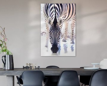 Drinkende zebra. Zwart wit