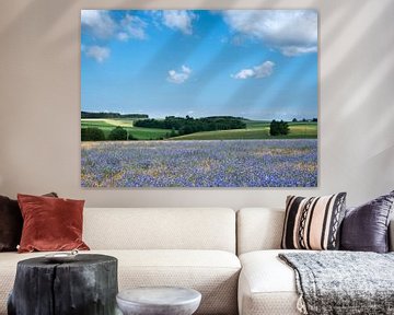 belgian countryside landscape with corn flowers under liege in the belgian ardennes near la roche on van anton havelaar