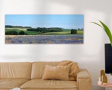 belgian countryside landscape with corn flowers under liege in the belgian ardennes near la roche on van anton havelaar