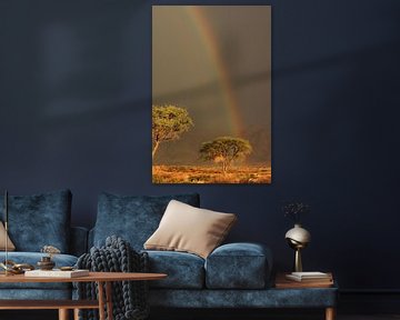 Regenboog met zon en donkere lucht Namibië. Zen, rust van Bobsphotography