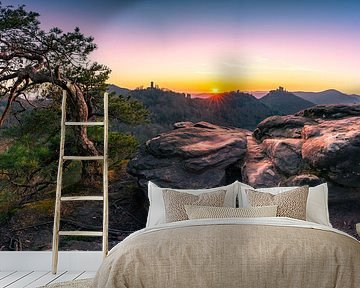 View in the Palatinate Forest by Christian Klös