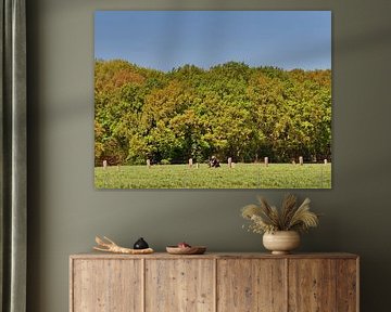 Le printemps des chardons