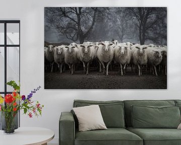 Beware of the sheep by SEE ME fotografie