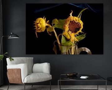 Tournesols pittoresques
