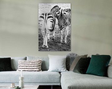 Zebra sur Myrthe Vlasveld