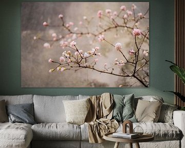 Spring by Myrthe Vlasveld