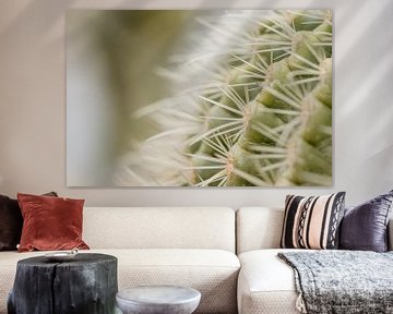 Cactus sur Myrthe Vlasveld