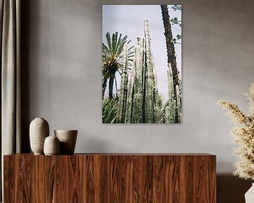 Cactus et palmier sur Patrycja Polechonska