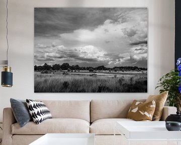 Wolken über der Kampina schwarz-weiß von Ronne Vinkx