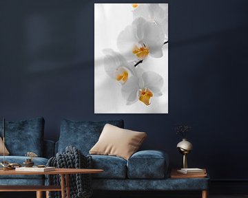 Gelbe Orchidee von Mariska Hofman