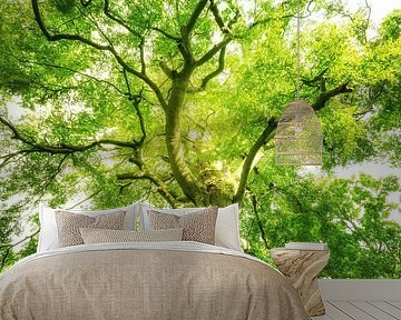 Gigantic tree crown by Oliver Henze