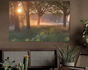 sfeervolle zonsopkomst