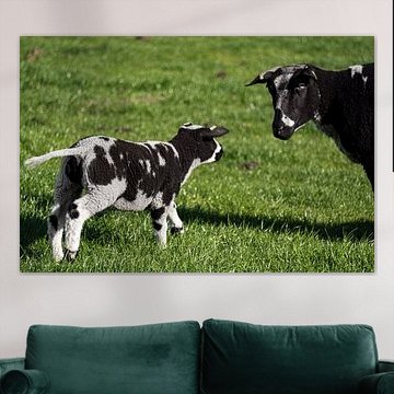 Das ultimative Frühlingsgefühl