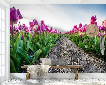 Tulpen netjes op een rij van Dennis Janssen