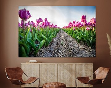 Tulpen netjes op een rij van Dennis Janssen