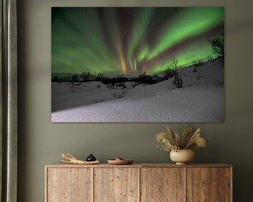 Das magische Nordlicht über Lappland von Daniel Van der Brug