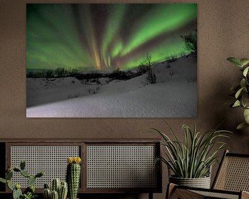 Het magische Noorderlicht boven Lapland van Daniel Van der Brug