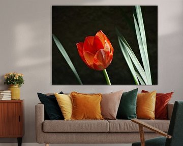Spring Flowers Collection