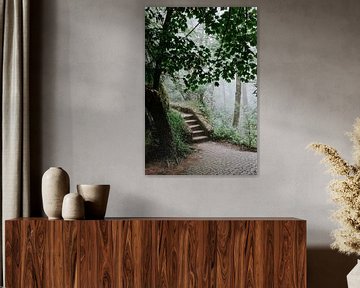 Eine Treppe mitten in der Natur von Sintra von Jessica Arends