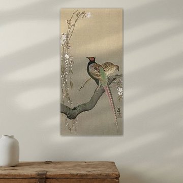 Fasanenpaar und Kirschblüten, Ohara Koson - ca. 1900