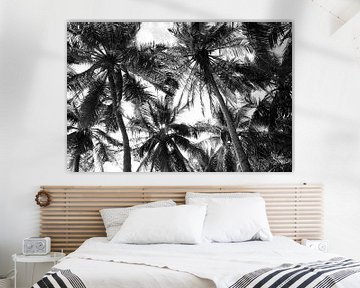 Sfeerfvolle palmbomen zwart wit van Bianca ter Riet