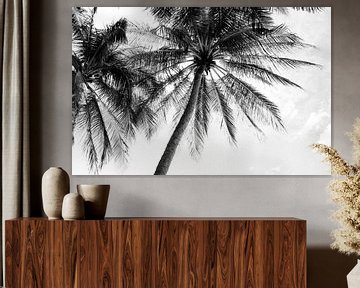 Atmospheric photo of palm trees black and white by Bianca ter Riet