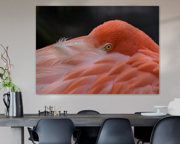 Wildlife: Cubaanse of Rode Flamingo van Rini Kools