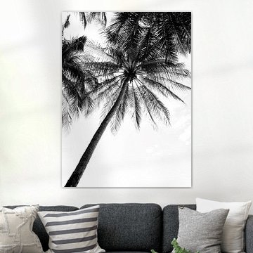 Zwart wit foto van palmbomen