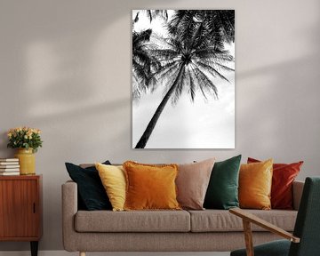 Black and white photo of palm trees by Bianca ter Riet