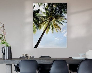 Sfeervolle foto van een palmboom van Bianca ter Riet