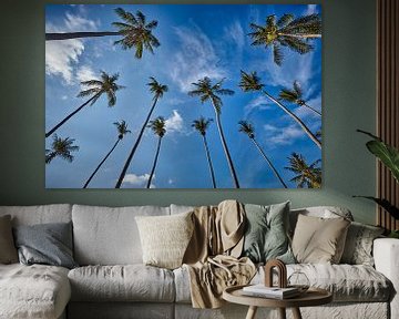 Palm trees against blue skies by Graham Forrester