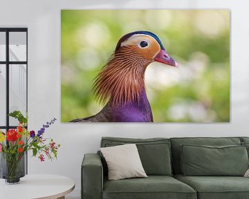 Portrait of a Wormwood Mandarin Duck by Marcel Klootwijk