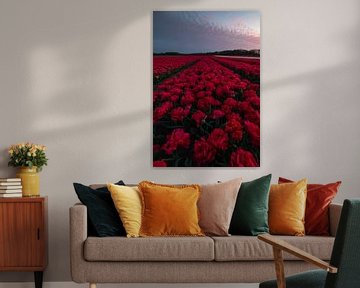 bloeiende rode tulpen van Marcel Hof
