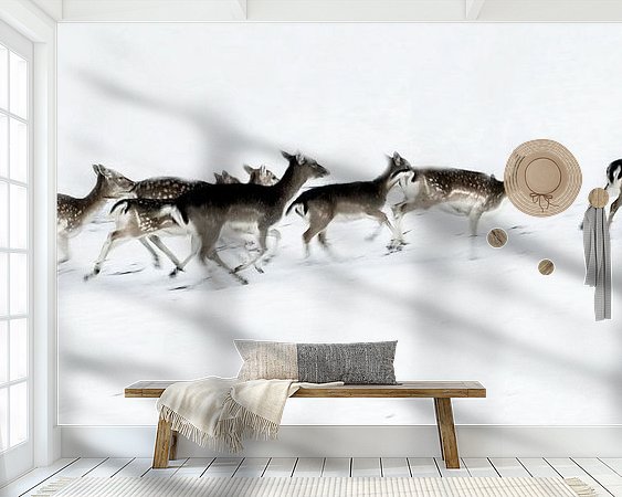 Raumvorschau