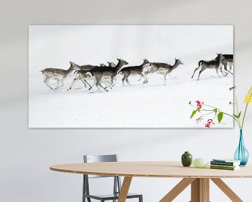 Foto van rennende herten in de sneeuw. van Therese Brals