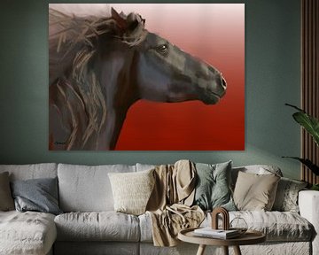 Horse, Frysk hynder. (Friesian horse)