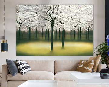 Springlight sur Lars van de Goor